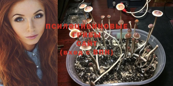 spice Верхний Тагил
