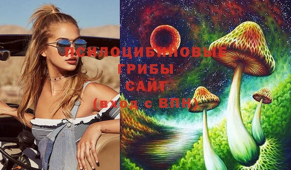 spice Верхний Тагил